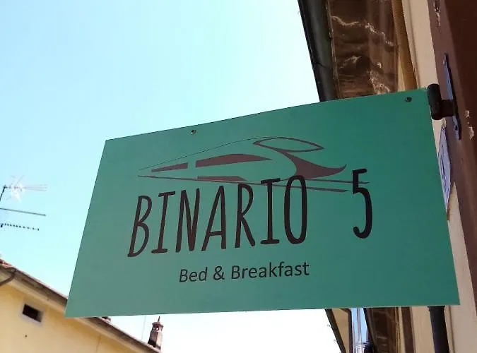 Binario 5